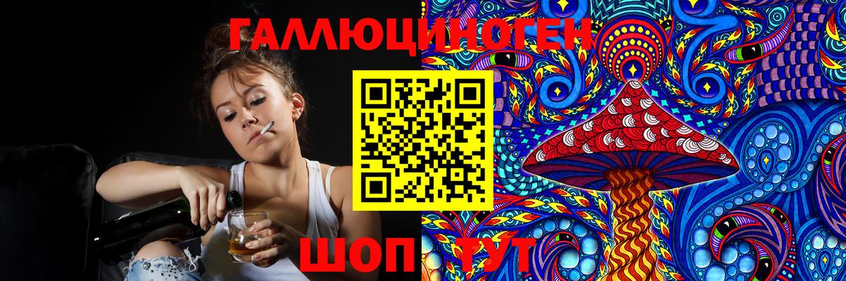 Псилоцибиновые грибы Psilocybe Берёзовский