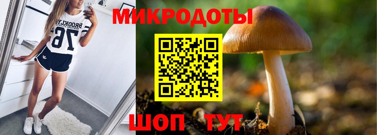 Берёзовский  Псилоцибиновые грибы Psilocybine cubensis  Вход с VPN 